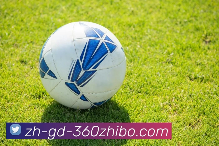 360直播APP 封面图